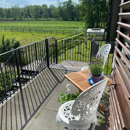 Ferienwohnung Hohenheide Warendorf Zewnętrze zdjęcie